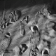 Illustration for article titled 36 Tantalizing Photos Of Textures